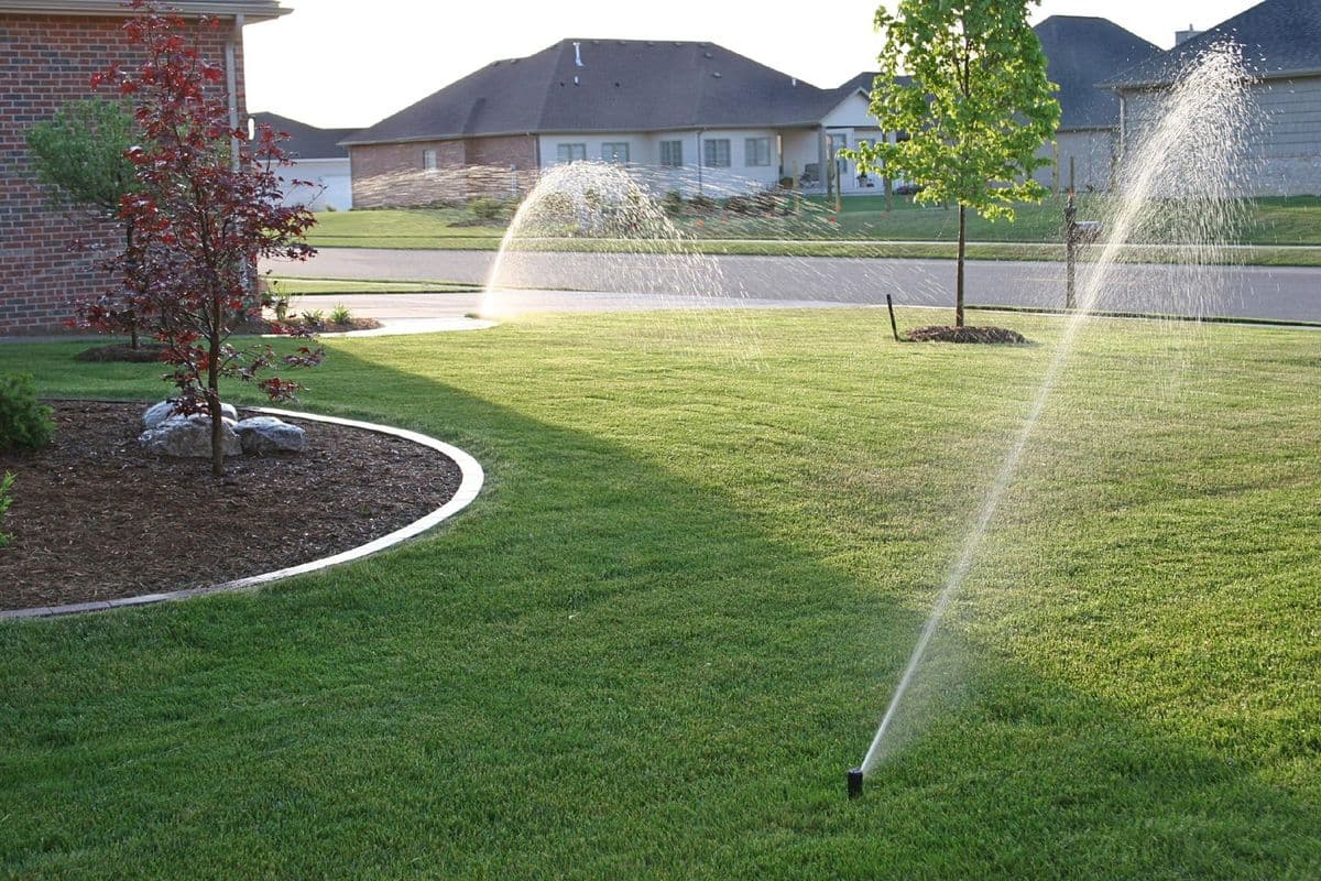 Zoned sprinkler irrigation running on a front lawn